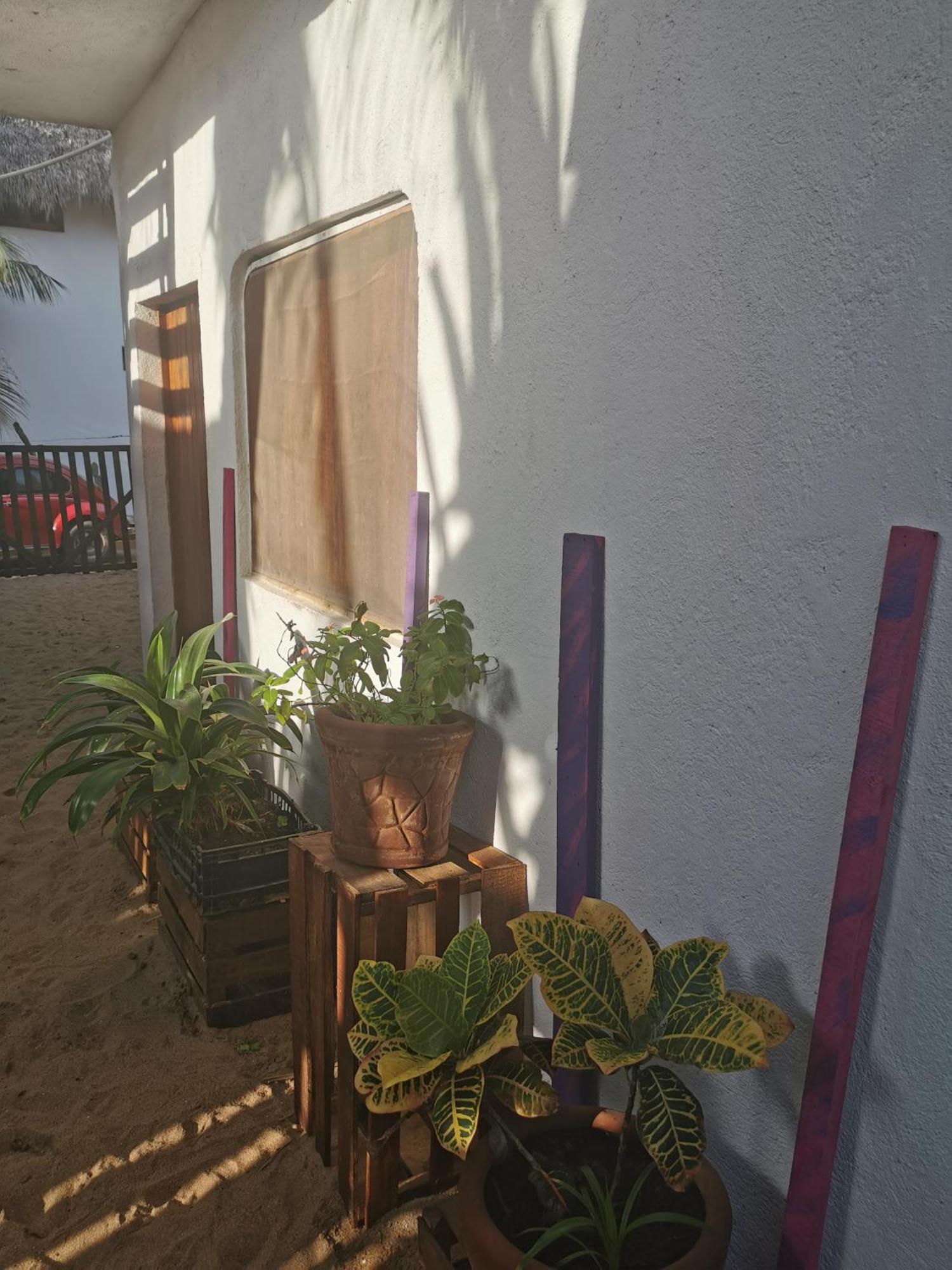 La Maxima & Lgbt Hotel Zipolite Ruang foto